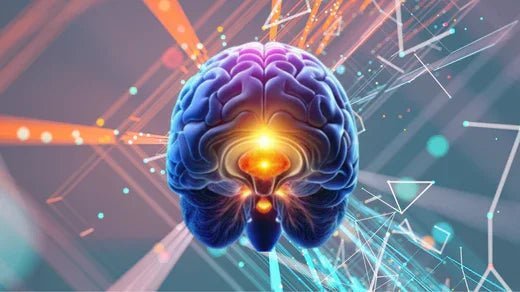 Das dritte Auge - Zirbeldrüse - Glow-Mindset