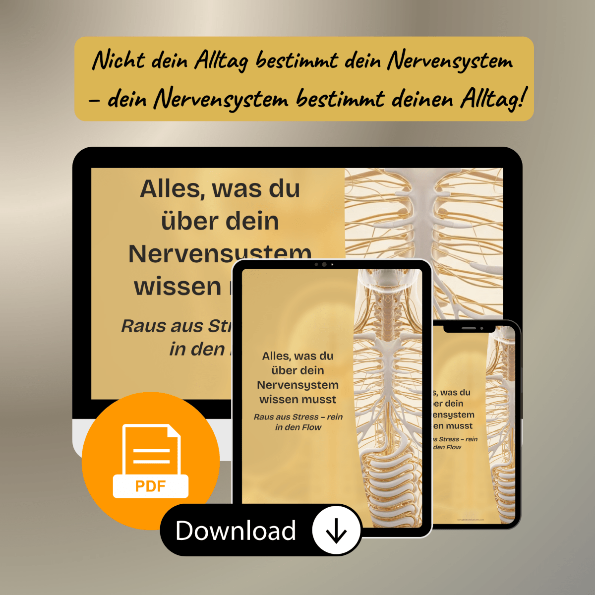 Nervensystem regulieren & beruhigen | Balance+Entspannung statt Stress | E - Book - Glow - Mindset