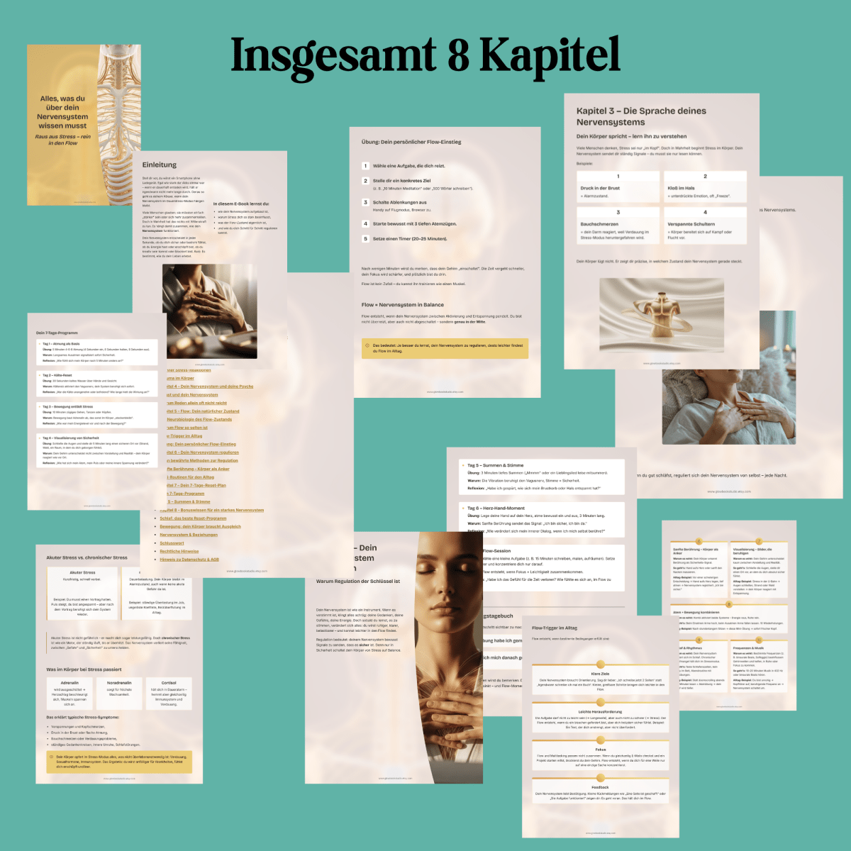 Nervensystem regulieren & beruhigen | Balance+Entspannung statt Stress | E - Book - Glow - Mindset