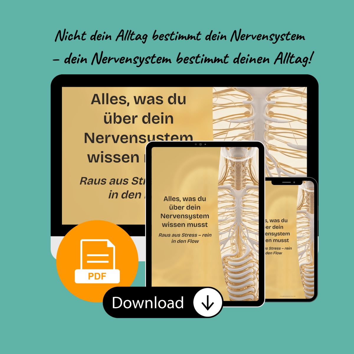 Nervensystem regulieren & beruhigen | Balance+Entspannung statt Stress | E - Book - Glow - Mindset