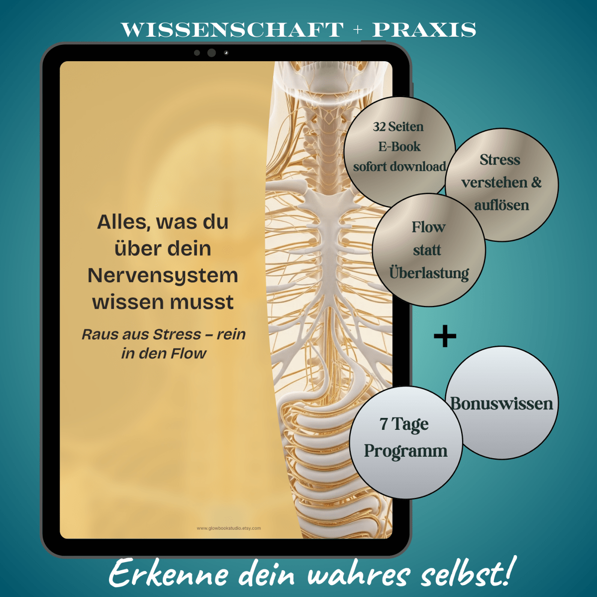 Nervensystem regulieren & beruhigen | Balance+Entspannung statt Stress | E - Book - Glow - Mindset