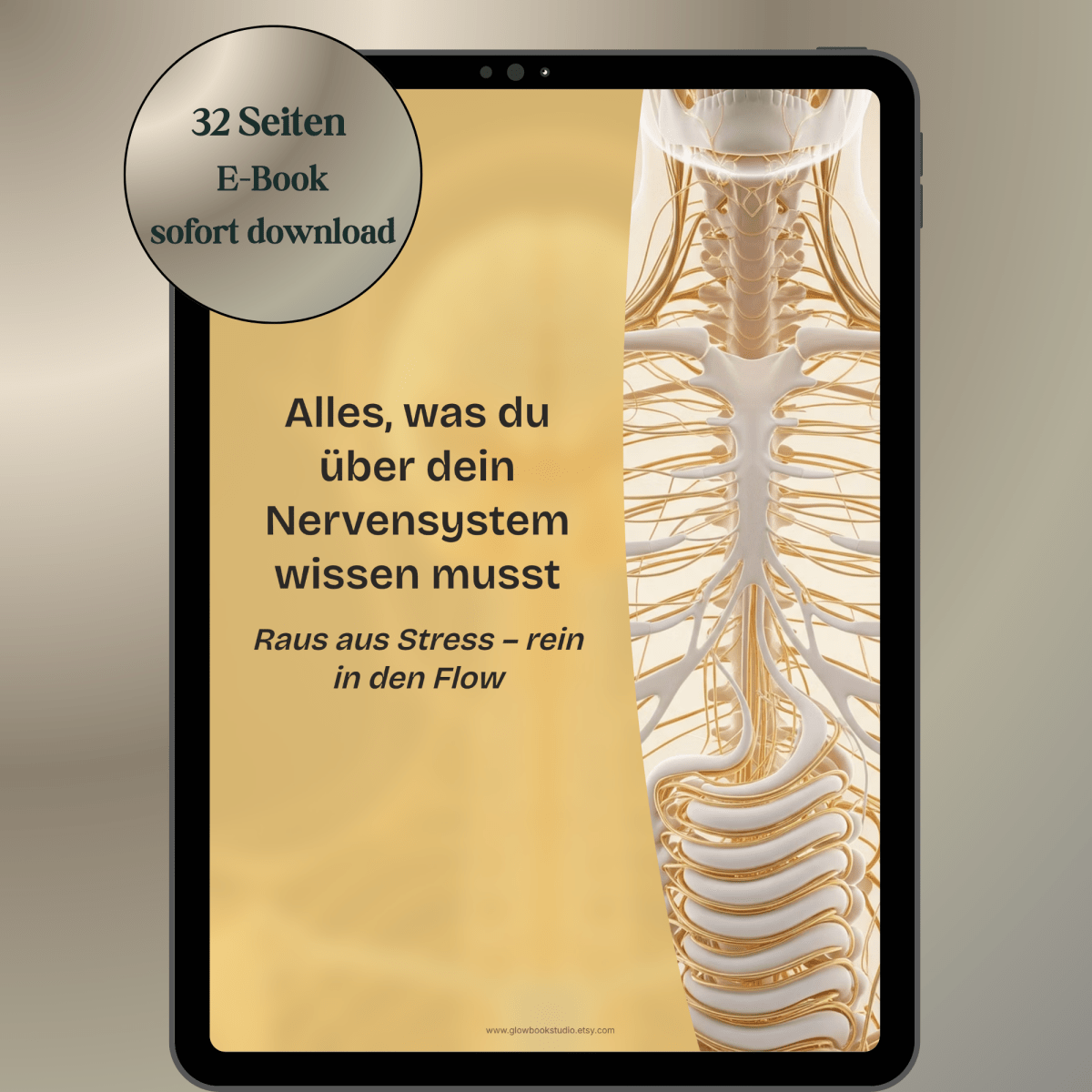 Nervensystem regulieren & beruhigen | Balance+Entspannung statt Stress | E - Book - Glow - Mindset