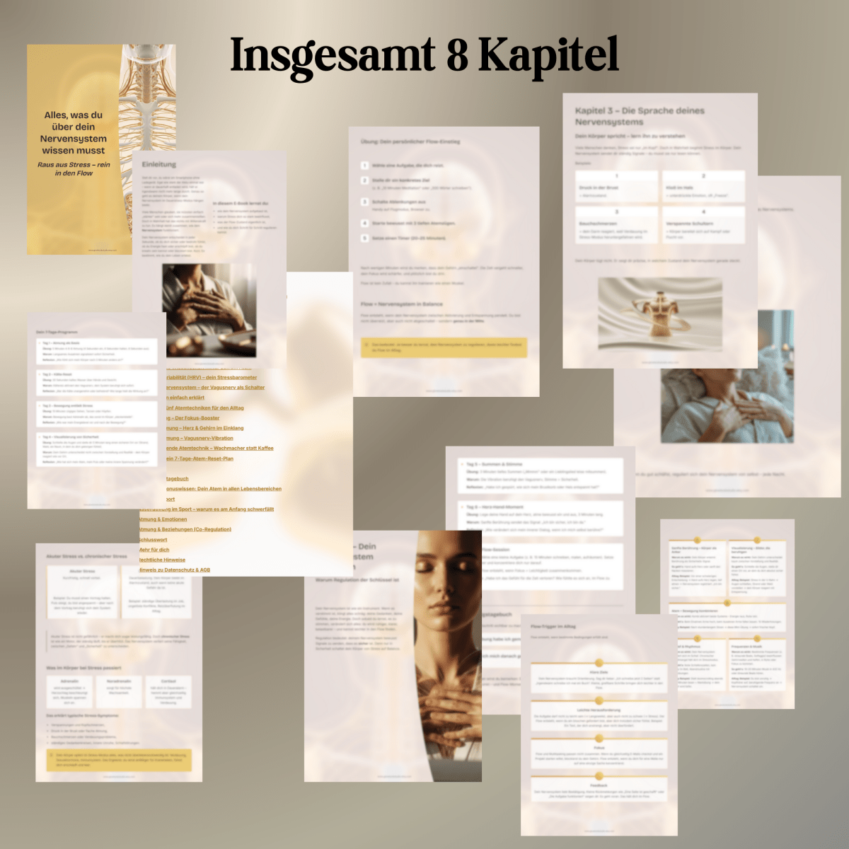 Nervensystem regulieren & beruhigen | Balance+Entspannung statt Stress | E - Book - Glow - Mindset
