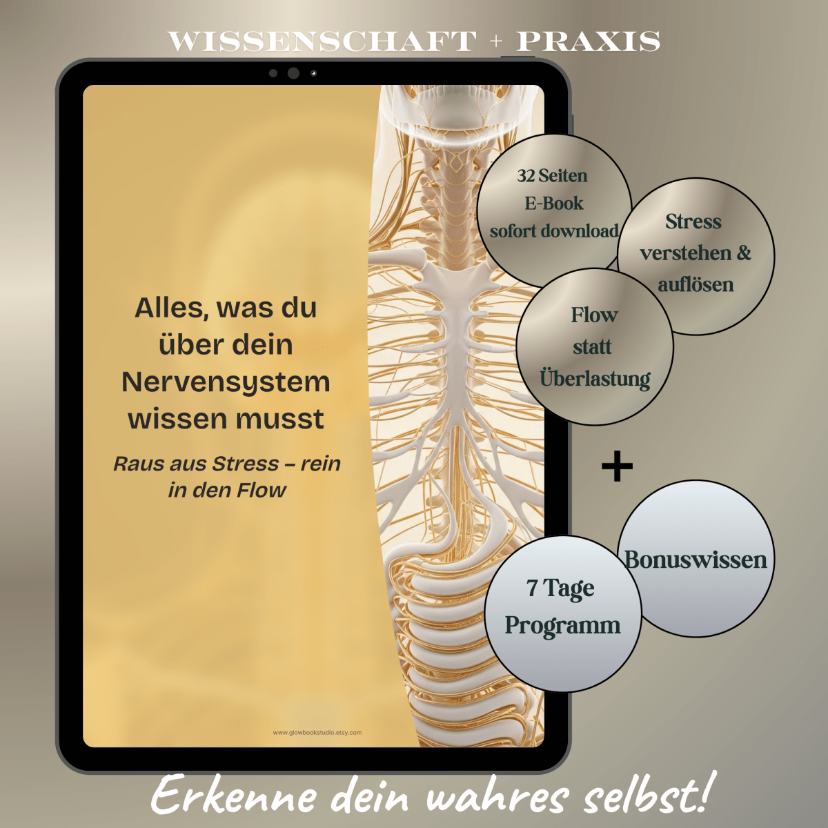 Nervensystem regulieren & beruhigen | Balance+Entspannung statt Stress | E - Book - Glow - Mindset