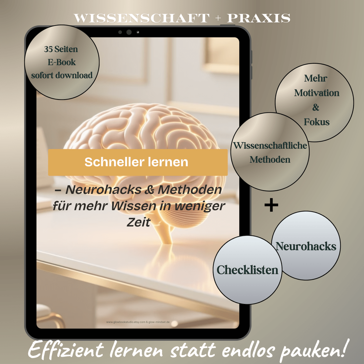 Schneller & leichter lernen | Gehirngerecht | mit Neurohacks | E - Book - Glow - Mindset