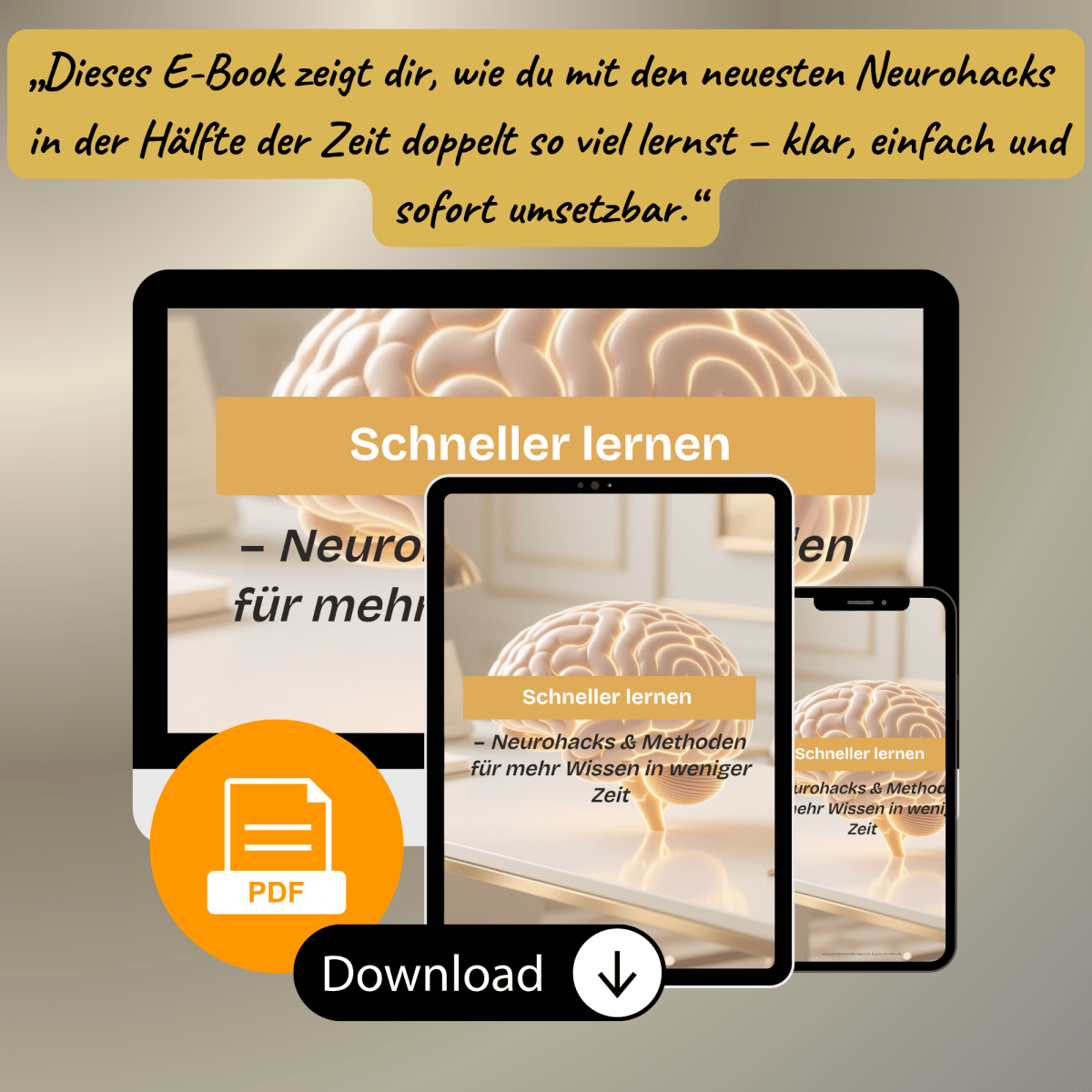 Schneller & leichter lernen | Gehirngerecht | mit Neurohacks | E - Book - Glow - Mindset